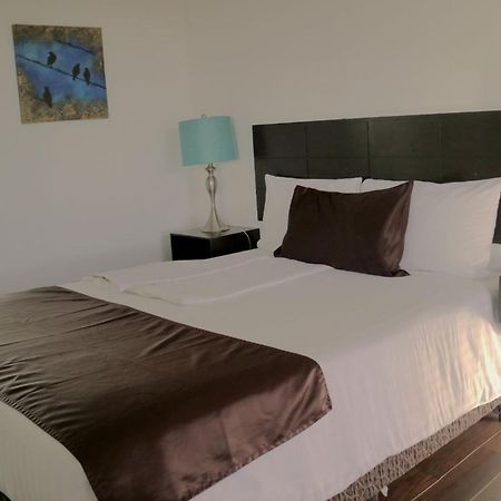 Quinta Sofia Valle de Guadalupe - Solo Adultos Exterior foto