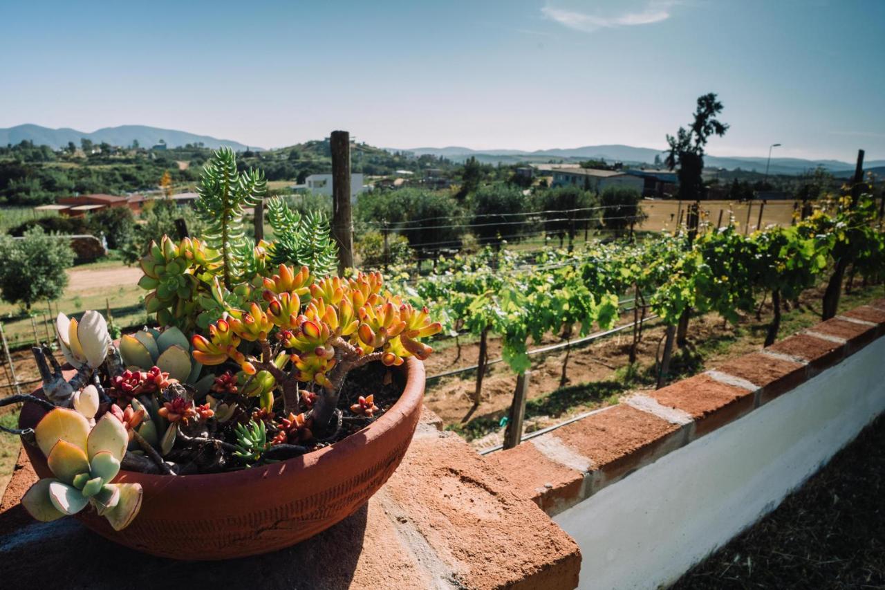 Quinta Sofia Valle de Guadalupe - Solo Adultos Exterior foto