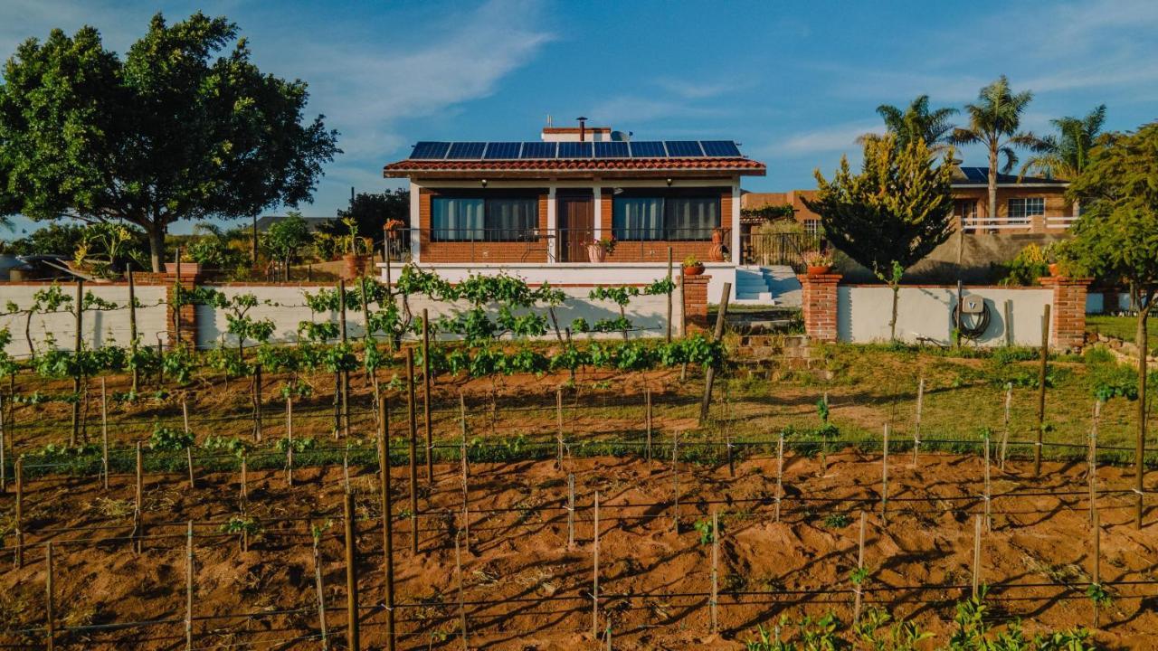 Quinta Sofia Valle de Guadalupe - Solo Adultos Exterior foto