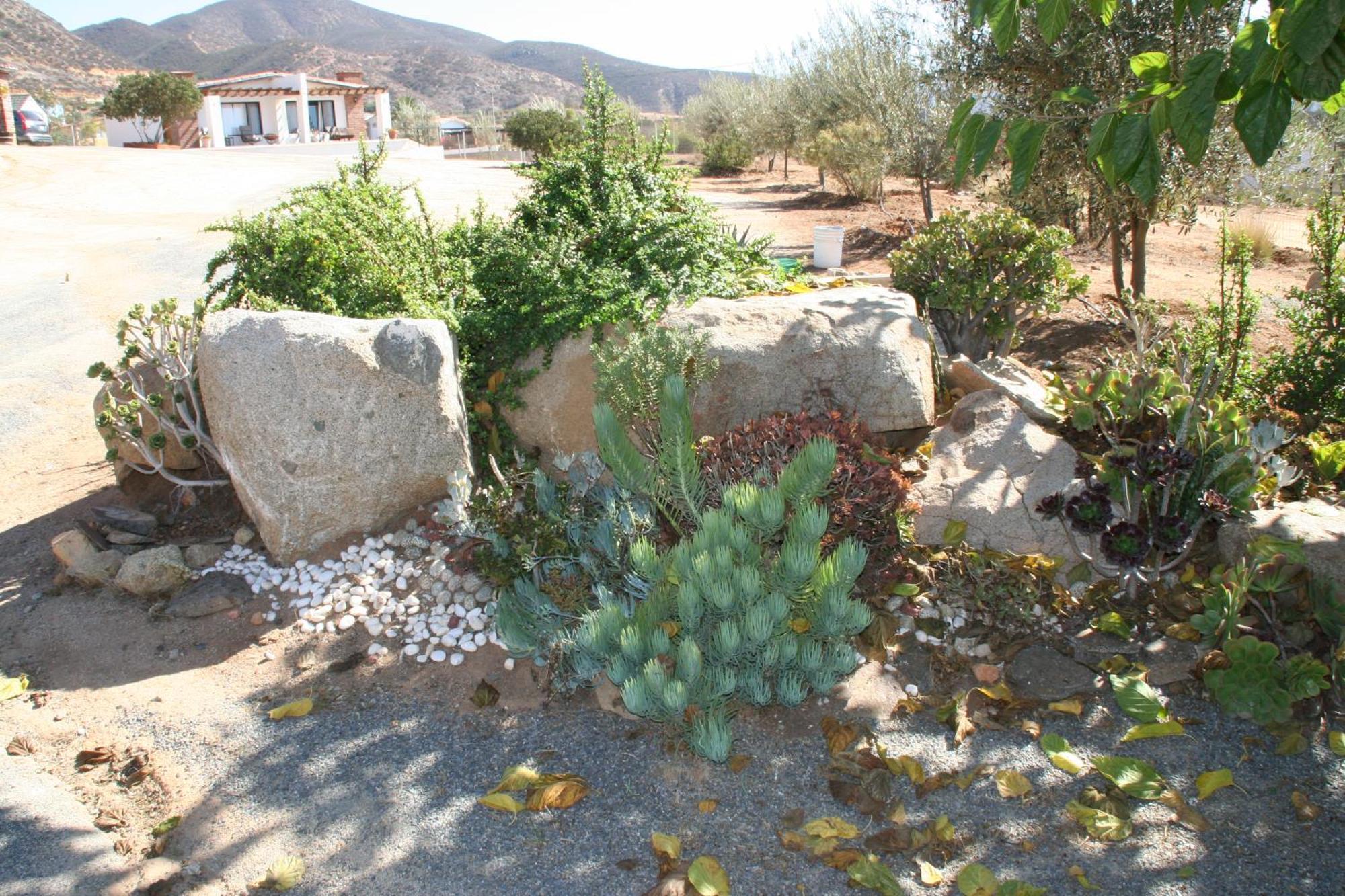 Quinta Sofia Valle de Guadalupe - Solo Adultos Exterior foto