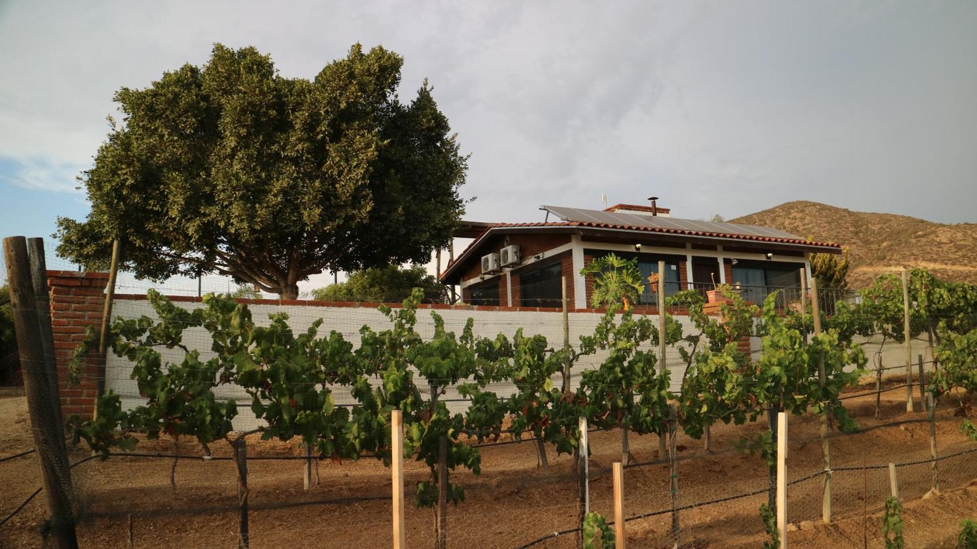 Quinta Sofia Valle de Guadalupe - Solo Adultos Exterior foto
