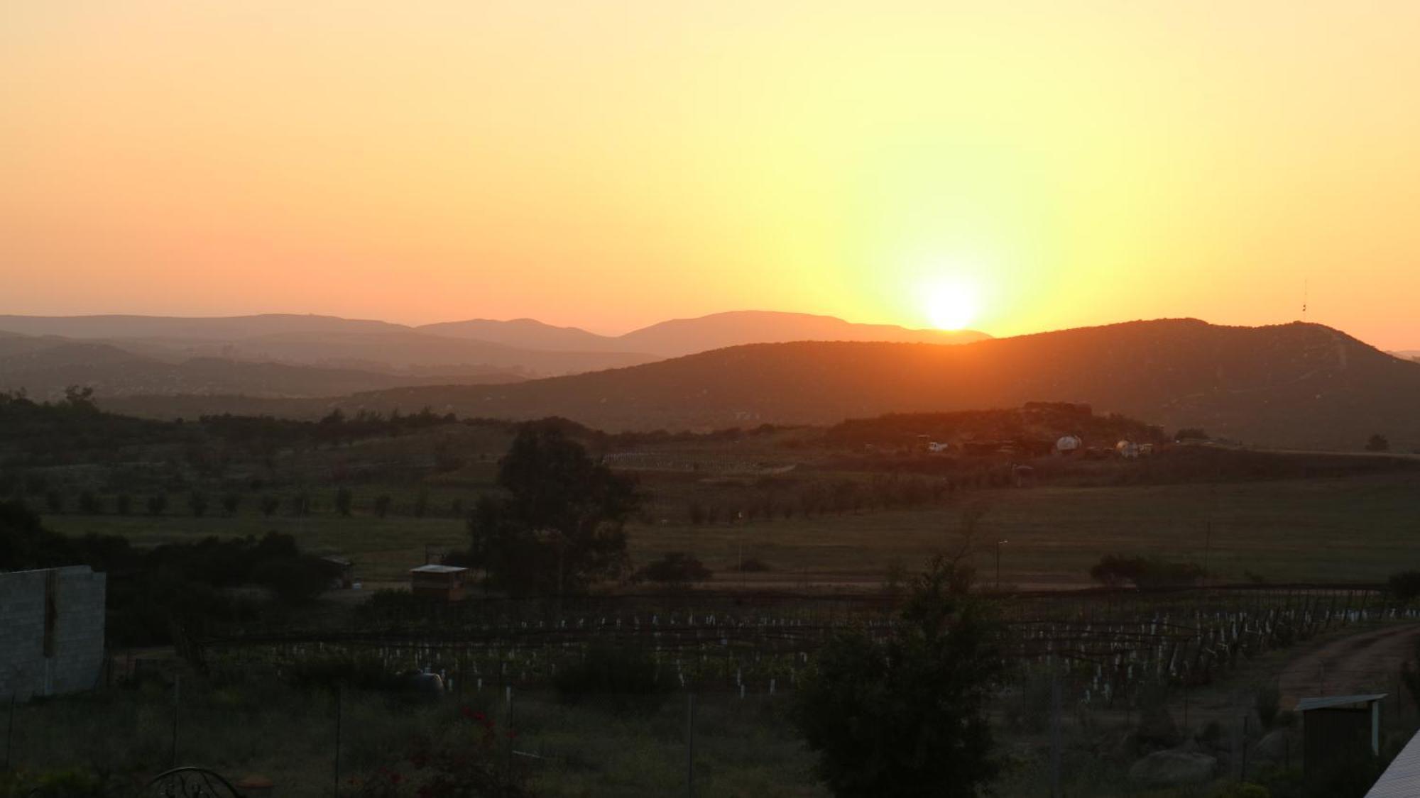 Quinta Sofia Valle de Guadalupe - Solo Adultos Exterior foto