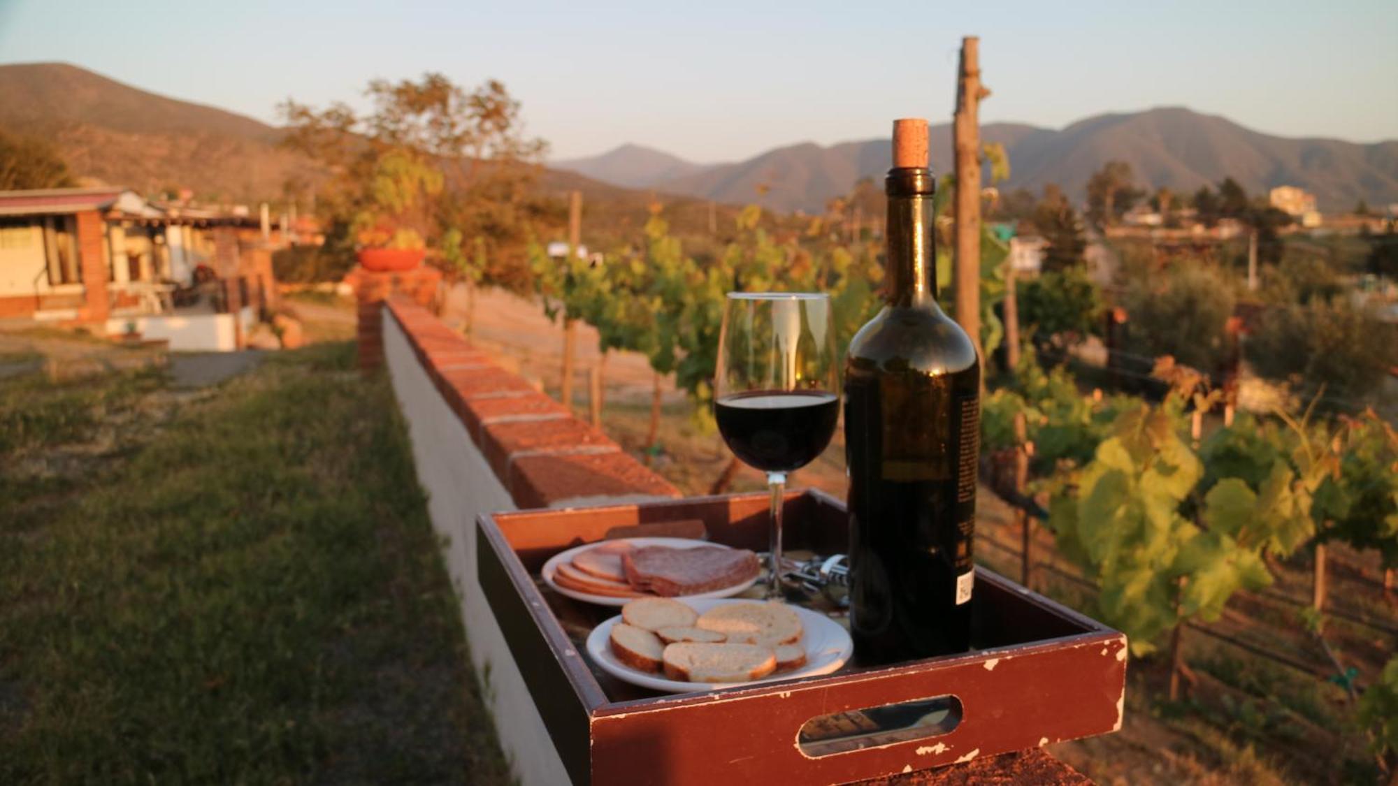 Quinta Sofia Valle de Guadalupe - Solo Adultos Exterior foto